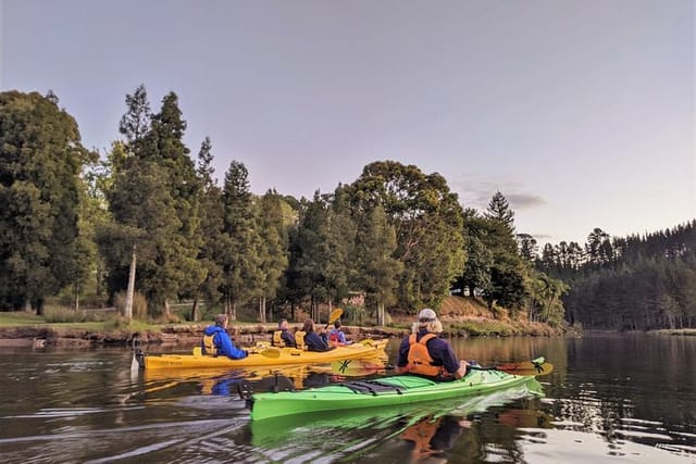 Evening Glow Worm Kayak Tour in Tauranga - Photo 1 of 6